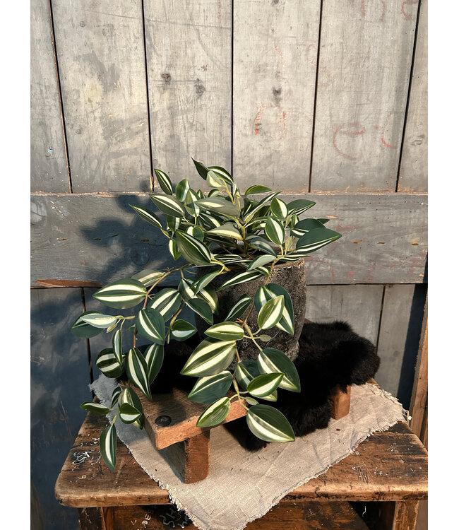 Countryfield # Kunstplant steker/hang Tradescantia groen-L50B30H23CM