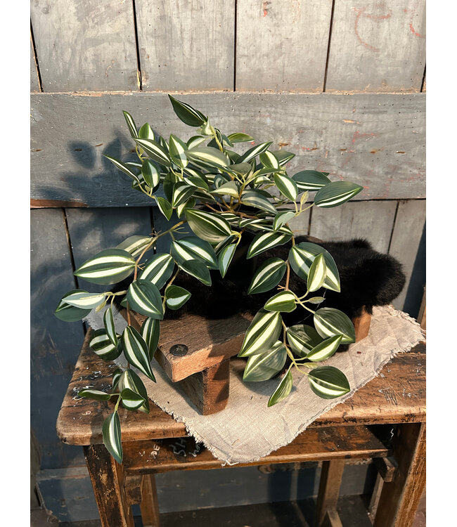 Countryfield # Kunstplant steker/hang Tradescantia groen-L50B30H23CM