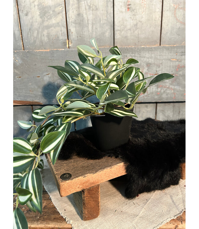 Countryfield # Kunstplant steker/hang Tradescantia groen-L50B30H23CM