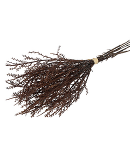 Countryfield @ Betula 6 bruin-L47B33H7CM