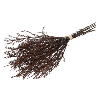 Countryfield # Betula 6 bruin-L47B33H7CM