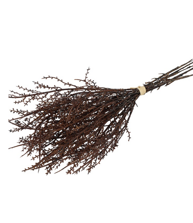 Countryfield # Betula 6 bruin-L47B33H7CM