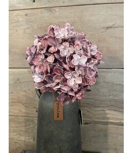@ Hortensia - paars/roze - 18 x 18 x 45 cm