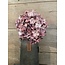 Hortensia - paars/roze - 18 x 18 x 45 cm