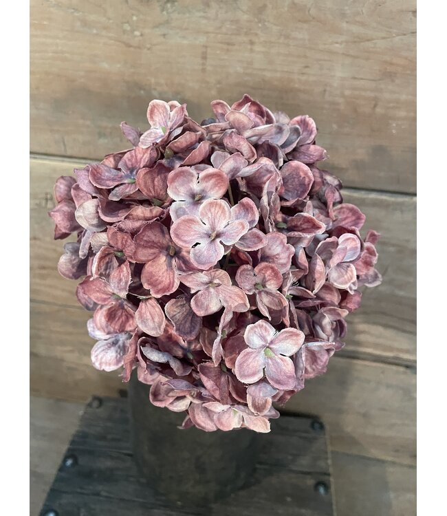 # Hortensia - paars/roze - 18 x 18 x 45 cm