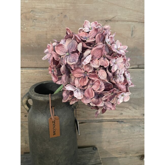 Hortensia - paars/roze - 18 x 18 x 45 cm
