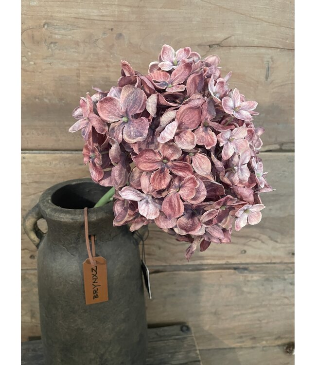 # Hortensia - paars/roze - 18 x 18 x 45 cm