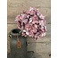 Hortensia - paars/roze - 18 x 18 x 45 cm