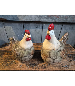 Countryfield # Kip Ravi L a2 grijs/bruin ca. 14 cm x 10 cm - per stuk