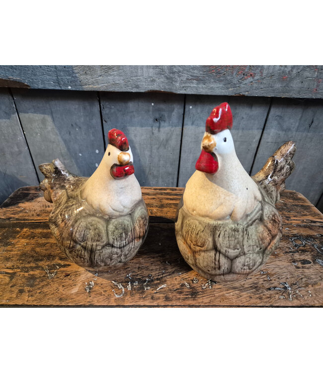 Countryfield # Kip Ravi L a2 grijs/bruin ca. 14 cm x 10 cm - per stuk
