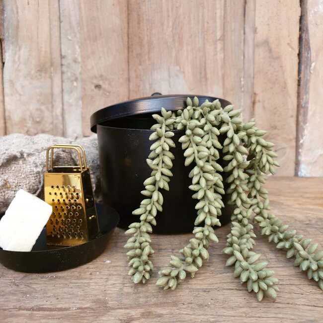 Erwten plant - groen - kunst - 10x2,5x33cm