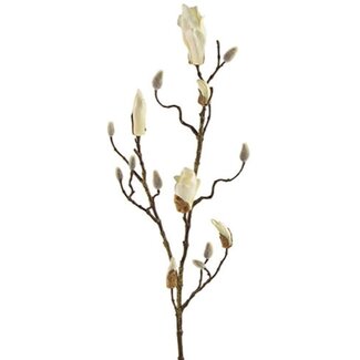 Countryfield # Magnolia knop tak Kelsey S wit-L88B15H3CM