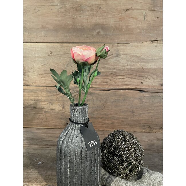 Countryfield # Roze ranonkel "Isolde" 34 cm