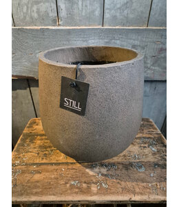 Still # 24175 - Palm Pot S Espresso - ca. 32 x 29 cm