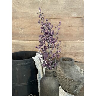 ## Paarse bolletjes tak