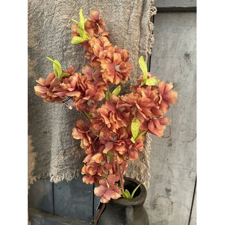 ## Winter Blossom Dark Orange 102 cm