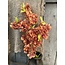 ## Winter Blossom Dark Orange 102 cm