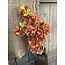## Winter Blossom Dark Orange 102 cm