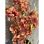 ## Winter Blossom Dark Orange 102 cm