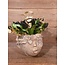 ## wordt niet verzonden - Planter Face Concrete Gold 26x23x21cm