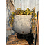 ## wordt niet verzonden  Planter Oval DeLuxe Ancient Clay L 45x20x40