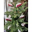 ## Ornament bestelwagen rood - l10,5xb5xh5,5cm