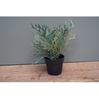 Kunstplant Platycerium groen-L20B20H24CM