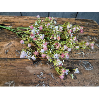 Gipskruid bosje oud roze