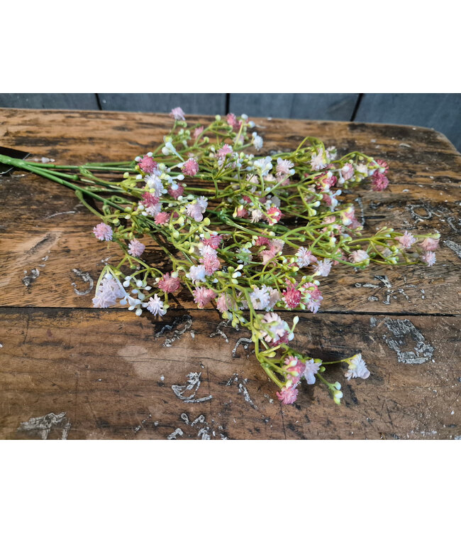 Gipskruid bosje oud roze