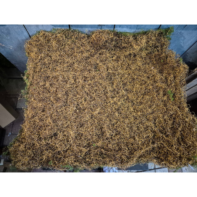 Mat van kunstmos - ca. 50 x 50 cm