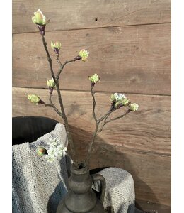 # Esdoorn fruit tak Quince S wit - l55b12,5h2,5cm