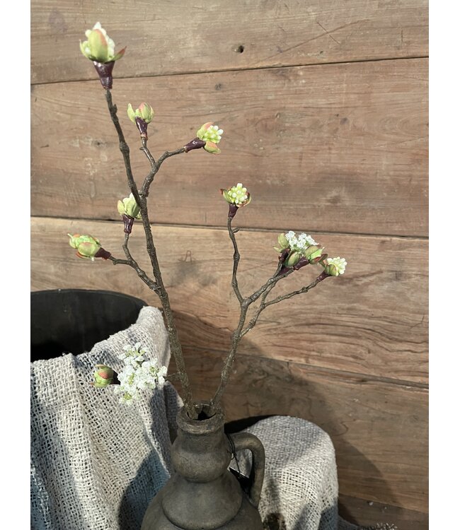 # Esdoorn fruit tak Quince S wit - l55b12,5h2,5cm