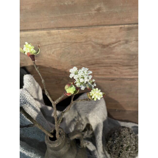 Esdoorn fruit tak Quince S wit - l55b12,5h2,5cm