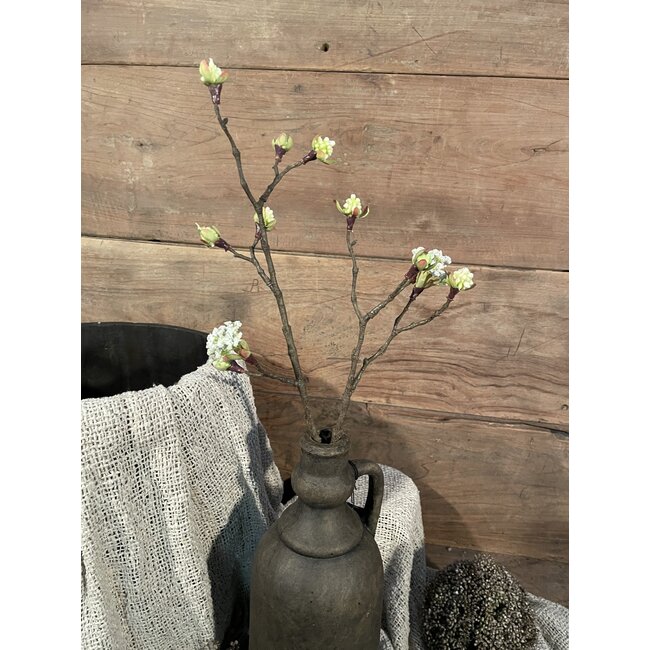 Esdoorn fruit tak Quince S wit - l55b12,5h2,5cm