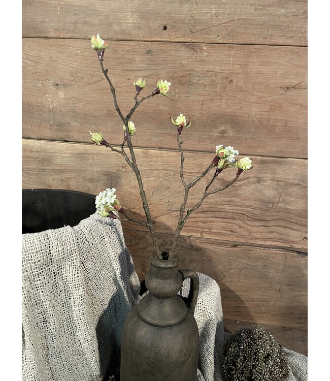 # Esdoorn fruit tak Quince S wit - l55b12,5h2,5cm