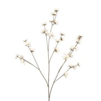 Countryfield Bloem Zinnia crème-15x15x108CM