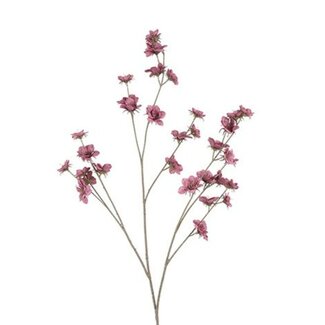 Countryfield Bloem Zinnia paars-15x15x108CM