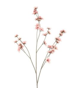 Countryfield # Bloem Zinnia roze-15x15x108CM
