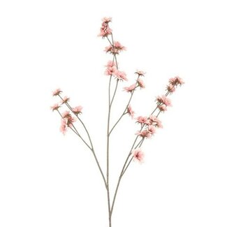 Countryfield Bloem Zinnia roze-15x15x108CM