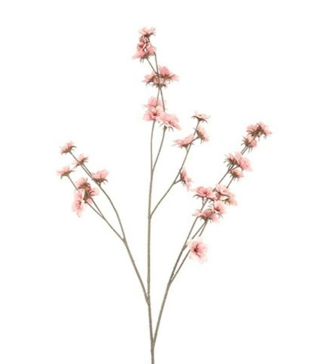 Countryfield # Bloem Zinnia roze-15x15x108CM