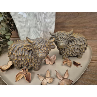 Countryfield # Schotse hooglander Jake M a2 bruin-L14B7,5H11CM - per stuk