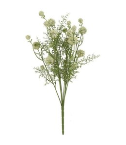 Countryfield # Bloem Teesdalia wit-9x24x55CM