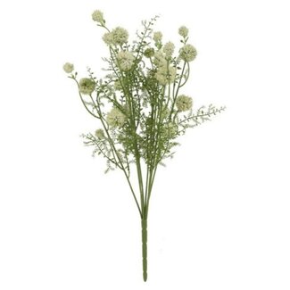 Countryfield Bloem Teesdalia wit-9x24x55CM