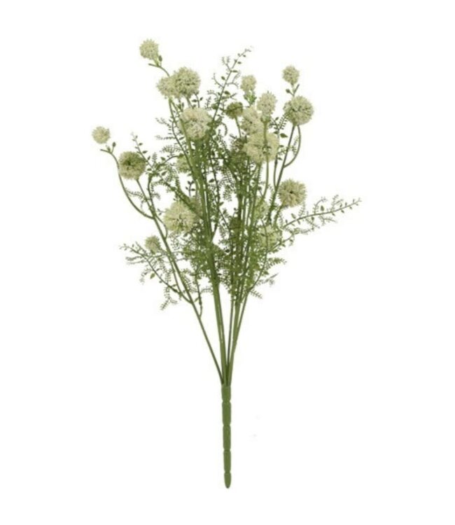 Countryfield # Bloem Teesdalia wit-9x24x55CM