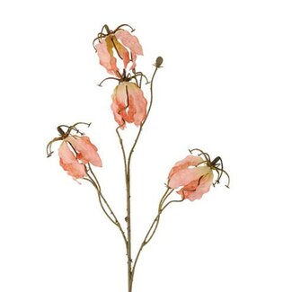 Countryfield Bloem Gloriosa miranda roze-15x15x90CM