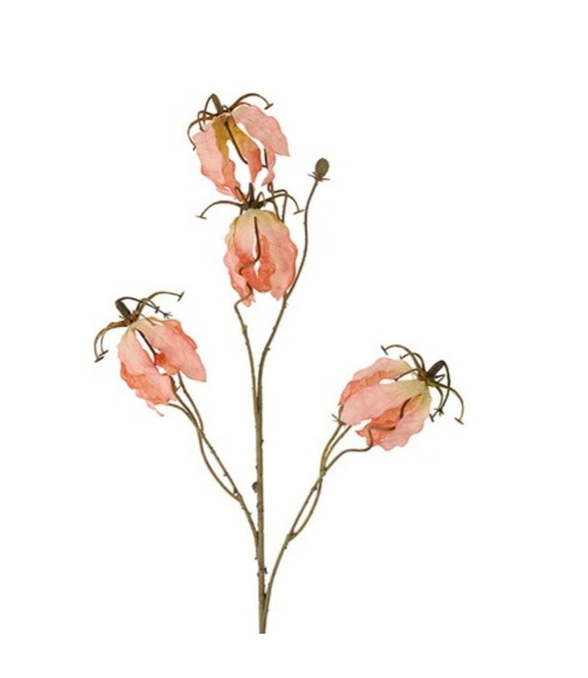 Countryfield # Bloem Gloriosa miranda roze-15x15x90CM