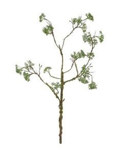 Countryfield # Bloem Viburnum opulus groen-44x40x60CM