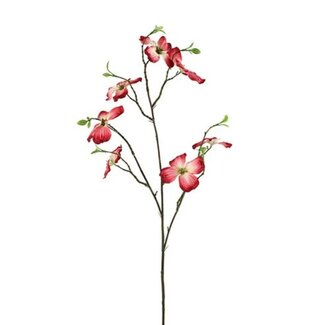 Countryfield Bloem Cornus M roze-5x20x66CM