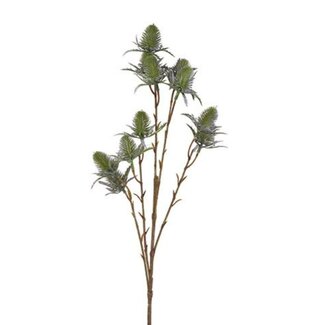 Countryfield Bloem Eryngium blauw-6x12x65CM