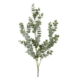 Countryfield # Blad Eucalyptus parviflora groen-8x8x64CM